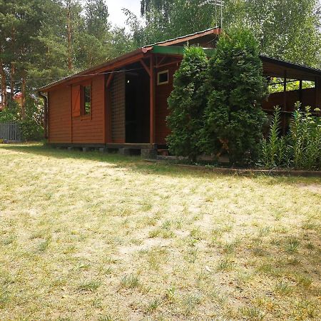 Domki Domek Na Jeziorem Wilczynskim Budzislawskim , Las, Osobno Ogrodzony 2-6 Osob- Klimatyzacja, Ogrzewanie, 62-550 Zygmuntowo Gm Wilczyn מראה חיצוני תמונה