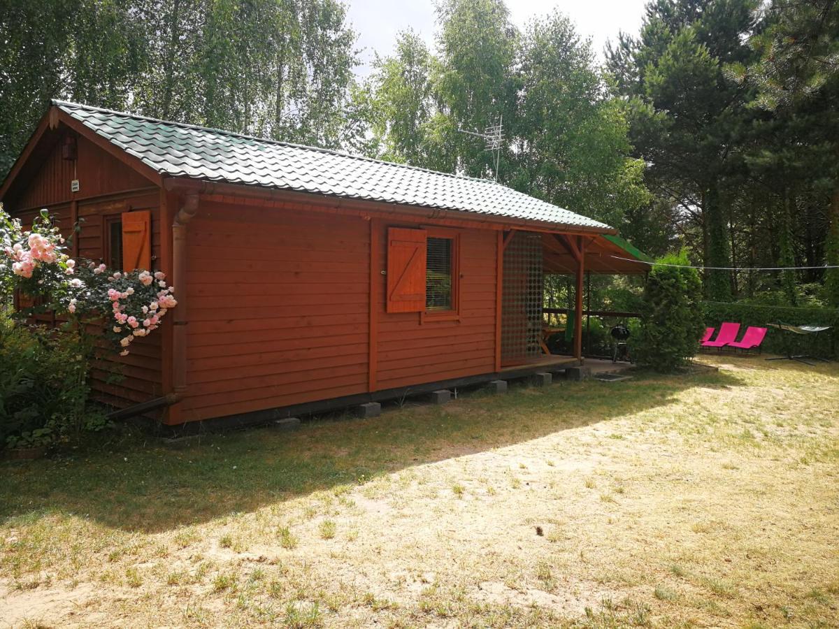 Domki Domek Na Jeziorem Wilczynskim Budzislawskim , Las, Osobno Ogrodzony 2-6 Osob- Klimatyzacja, Ogrzewanie, 62-550 Zygmuntowo Gm Wilczyn מראה חיצוני תמונה