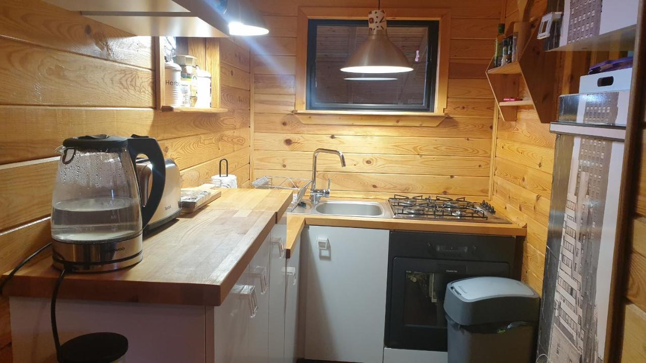 Domki Domek Na Jeziorem Wilczynskim Budzislawskim , Las, Osobno Ogrodzony 2-6 Osob- Klimatyzacja, Ogrzewanie, 62-550 Zygmuntowo Gm Wilczyn מראה חיצוני תמונה