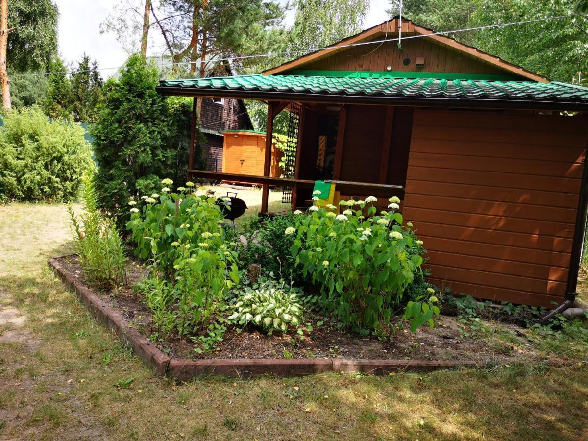Domki Domek Na Jeziorem Wilczynskim Budzislawskim , Las, Osobno Ogrodzony 2-6 Osob- Klimatyzacja, Ogrzewanie, 62-550 Zygmuntowo Gm Wilczyn מראה חיצוני תמונה