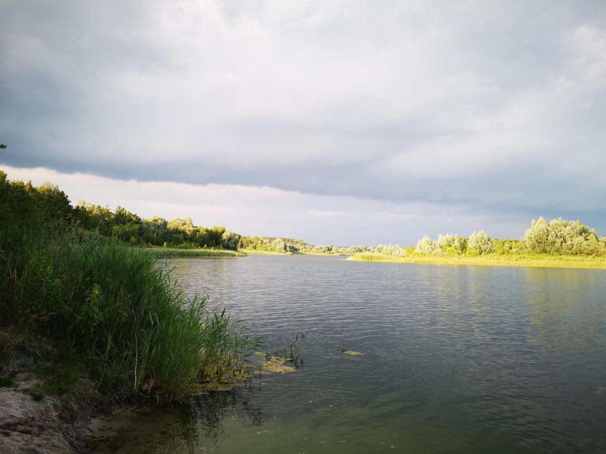 Domki Domek Na Jeziorem Wilczynskim Budzislawskim , Las, Osobno Ogrodzony 2-6 Osob- Klimatyzacja, Ogrzewanie, 62-550 Zygmuntowo Gm Wilczyn מראה חיצוני תמונה