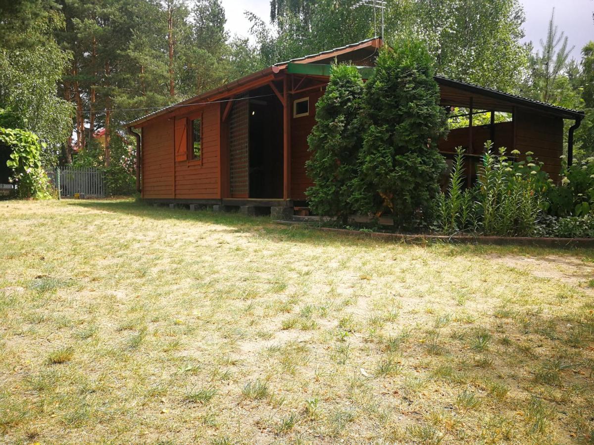 Domki Domek Na Jeziorem Wilczynskim Budzislawskim , Las, Osobno Ogrodzony 2-6 Osob- Klimatyzacja, Ogrzewanie, 62-550 Zygmuntowo Gm Wilczyn מראה חיצוני תמונה